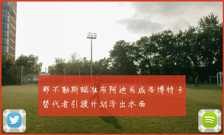 那不勒斯瞄准布阿迪或成洛博特卡替代者引援计划浮出水面