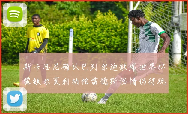 斯卡洛尼确认巴列尔迪缺席世界杯蒙铁尔莫利纳帕雷德斯伤情仍待观察